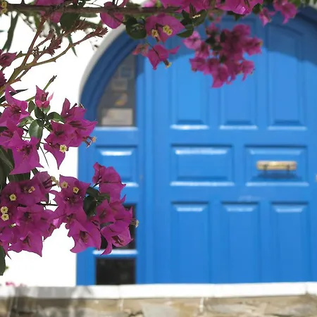 Διαμέρισμα Angelina