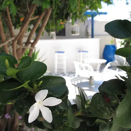 Angelina Διαμέρισμα Πάρος