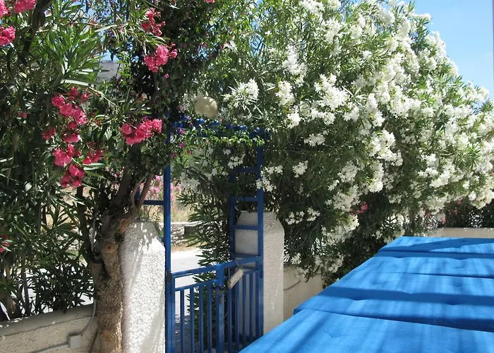 Angelina Lägenhet *