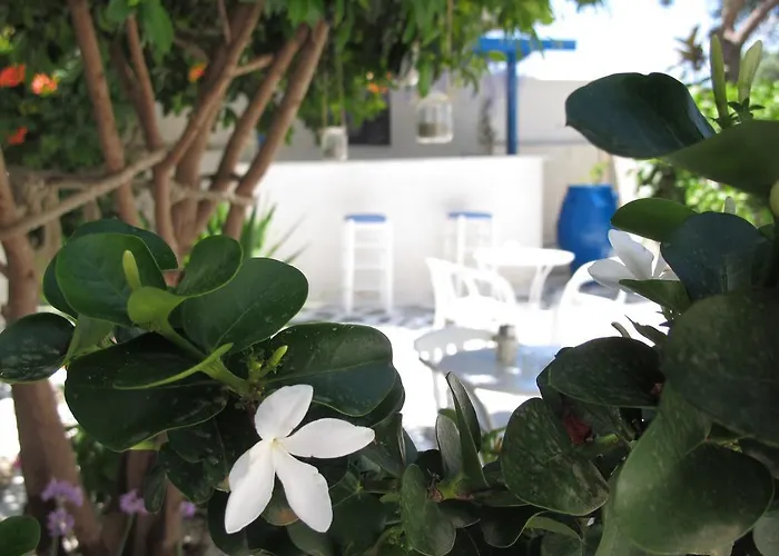 Angelina Appartement Páros